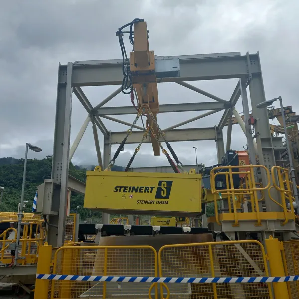 Fixed Magnet Metal Detector Main 1